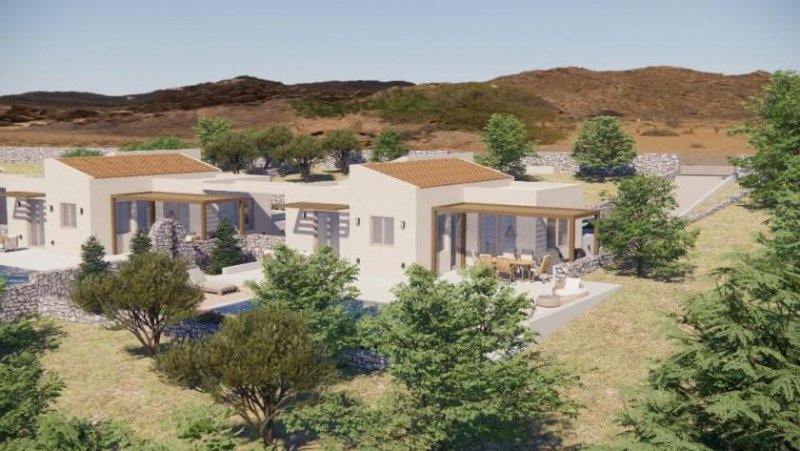 Erfi Kreta, Erfi - Projekt: Bungalow mit Swimmingpool und Meerblick im Olivenhain Haus kaufen